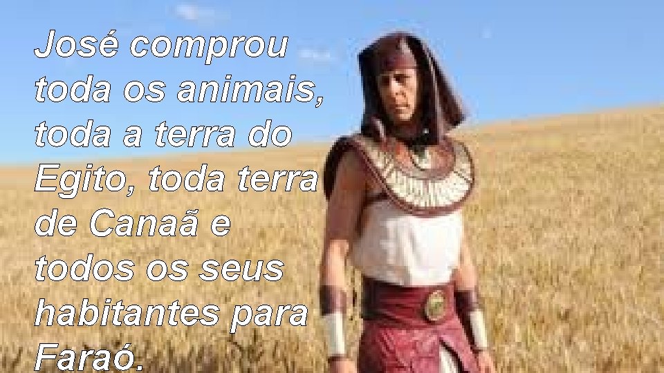 José comprou toda os animais, toda a terra do Egito, toda terra de Canaã