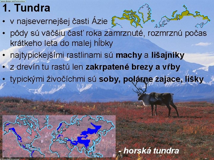 1. Tundra • v najsevernejšej časti Ázie • pôdy sú väčšiu časť roka zamrznuté,
