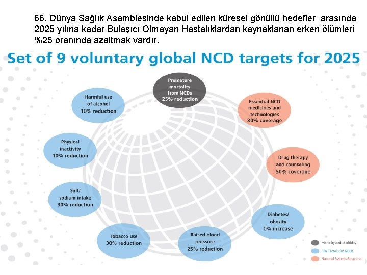 66. Dünya Sağlık Asamblesinde kabul edilen küresel gönüllü hedefler arasında 2025 yılına kadar Bulaşıcı