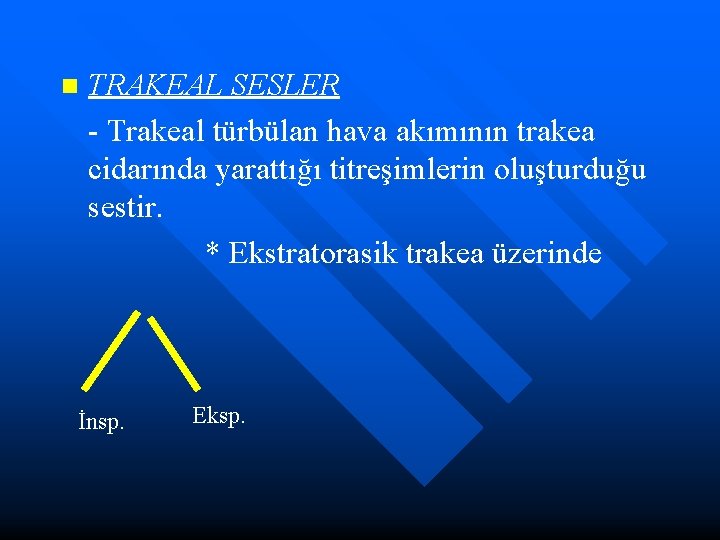 n TRAKEAL SESLER - Trakeal türbülan hava akımının trakea cidarında yarattığı titreşimlerin oluşturduğu sestir.