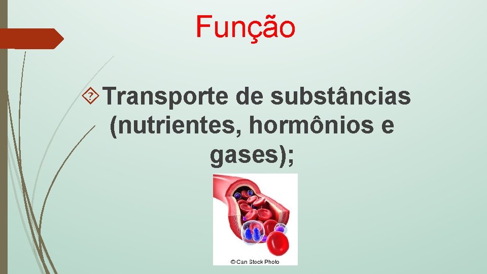 Função Transporte de substâncias (nutrientes, hormônios e gases); 