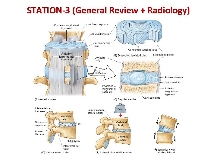 STATION-3 (General Review + Radiology) 
