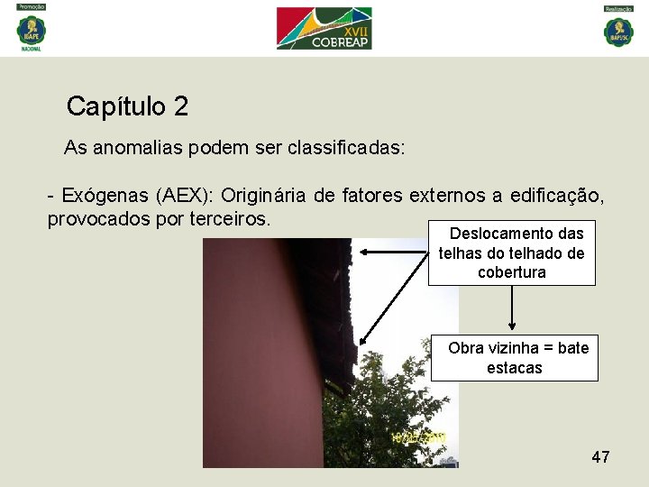 Capítulo 2 As anomalias podem ser classificadas: - Exógenas (AEX): Originária de fatores externos