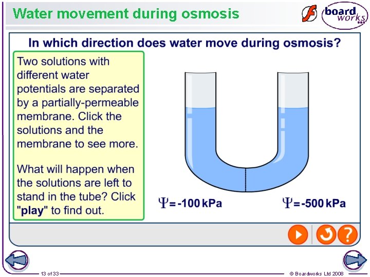 Water movement during osmosis 13 of 33 © Boardworks Ltd 2008 