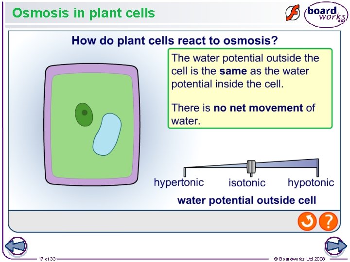 Osmosis in plant cells 17 of 33 © Boardworks Ltd 2008 