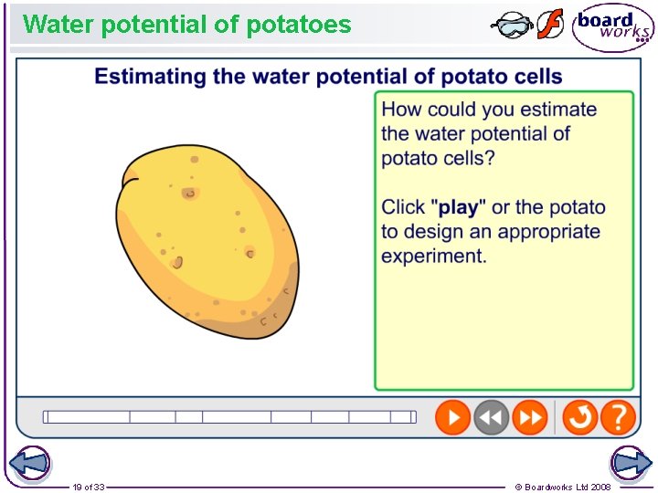 Water potential of potatoes 19 of 33 © Boardworks Ltd 2008 