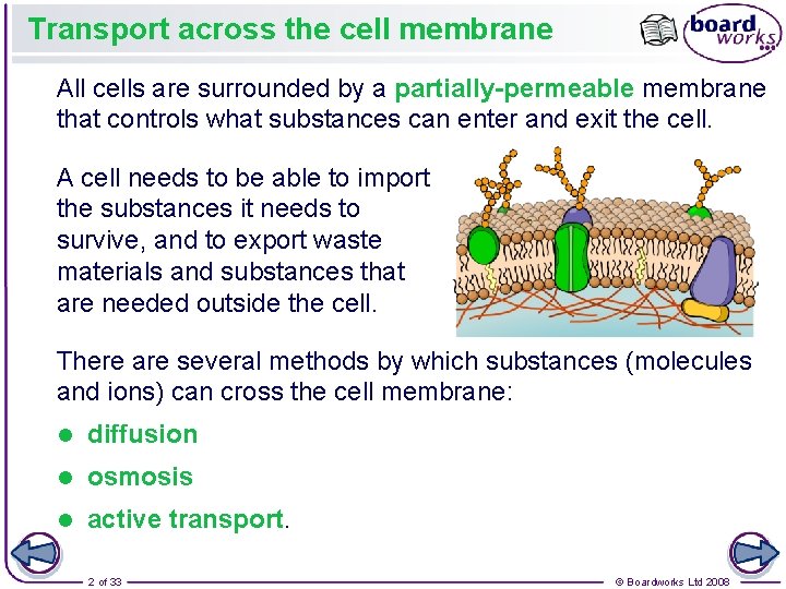 Transport across the cell membrane All cells are surrounded by a partially-permeable membrane that