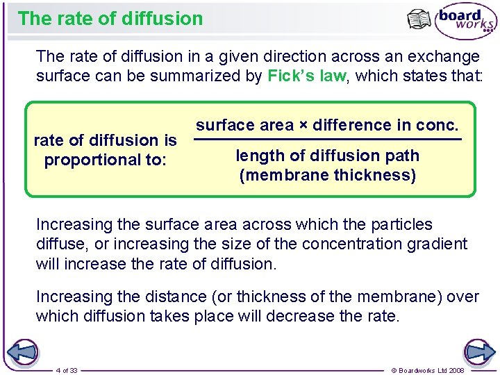 The rate of diffusion in a given direction across an exchange surface can be