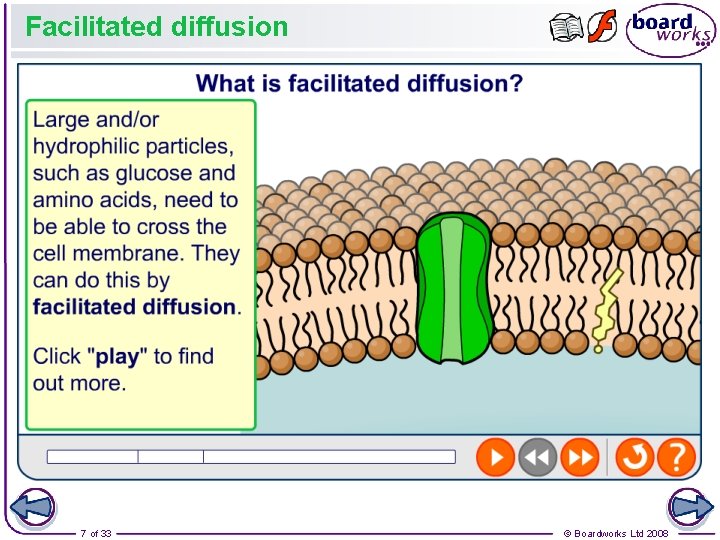 Facilitated diffusion 7 of 33 © Boardworks Ltd 2008 