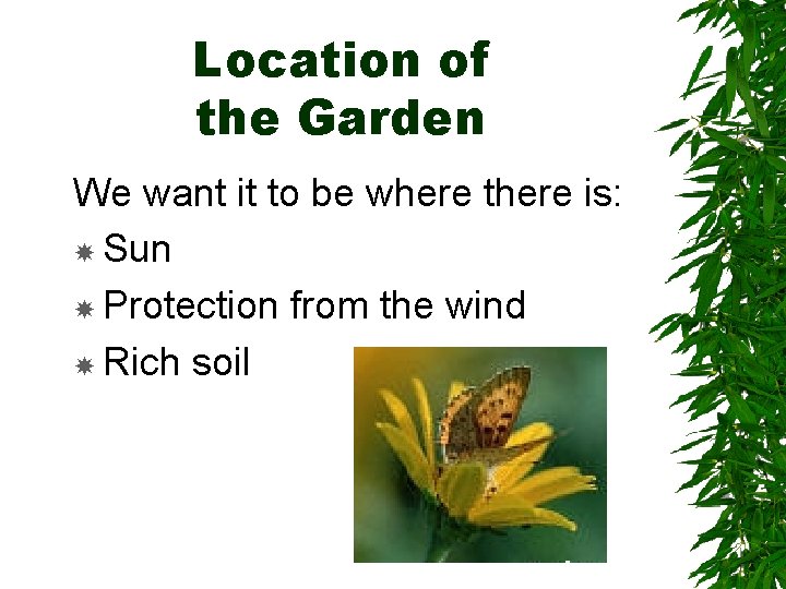 Location of the Garden We want it to be where there is: Sun Protection