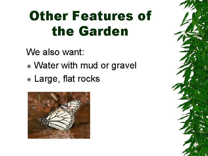 Other Features of the Garden We also want: Water with mud or gravel Large,