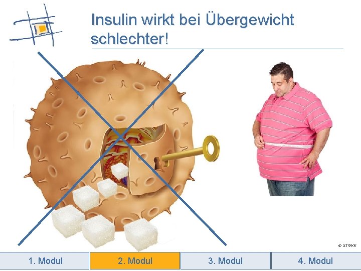 Insulin wirkt bei Übergewicht schlechter! © STGKK 1. Modul 2. Modul 3. Modul 4.