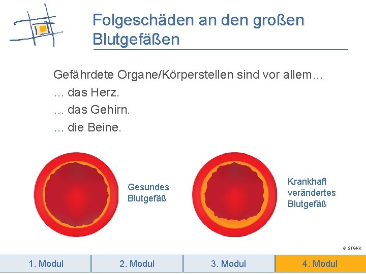 Folgeschäden an den großen Blutgefäßen Gefährdete Organe/Körperstellen sind vor allem… … das Herz. …