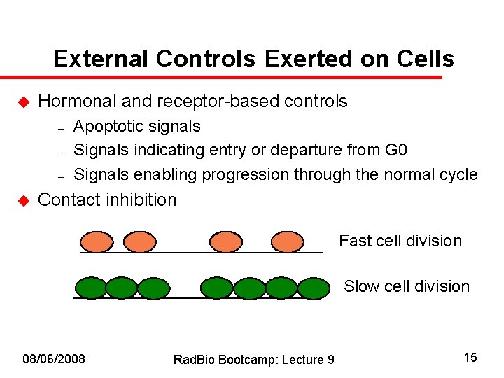 External Controls Exerted on Cells u Hormonal and receptor-based controls – – – u