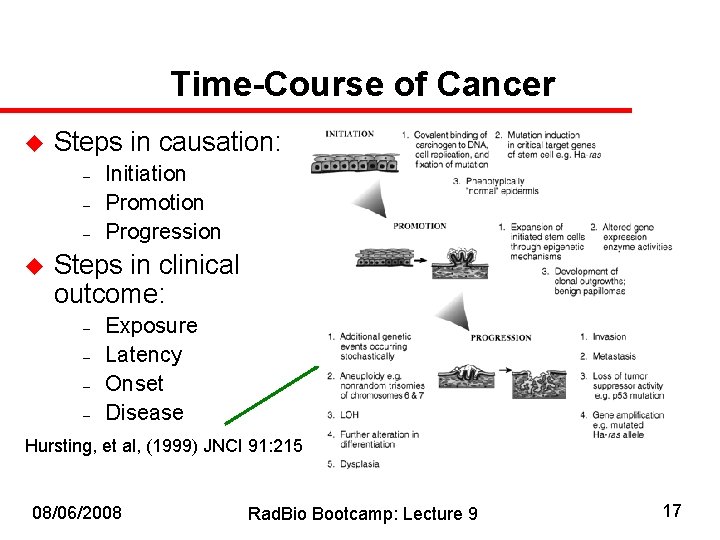 Time-Course of Cancer u Steps in causation: – – – u Initiation Promotion Progression