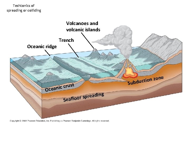 Techtonics of spreading or colliding Volcanoes and volcanic islands Oceanic ridge Trench e on