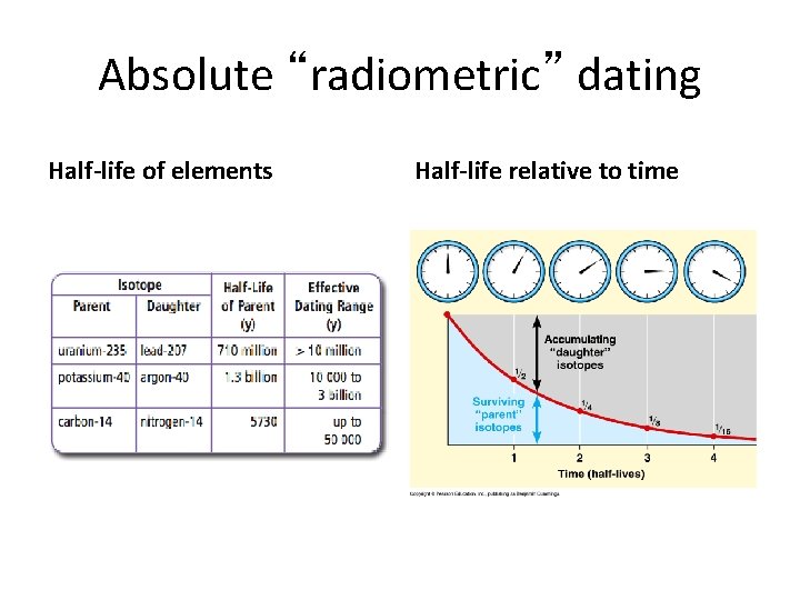 Absolute “radiometric” dating Half-life of elements Half-life relative to time 