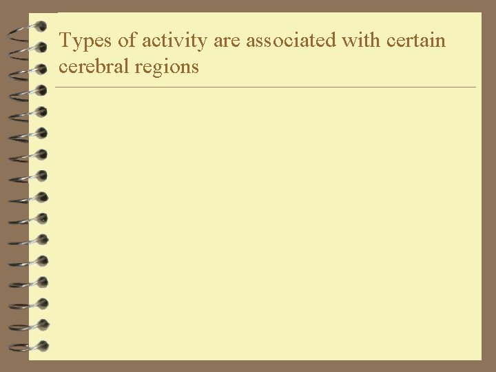 Types of activity are associated with certain cerebral regions 