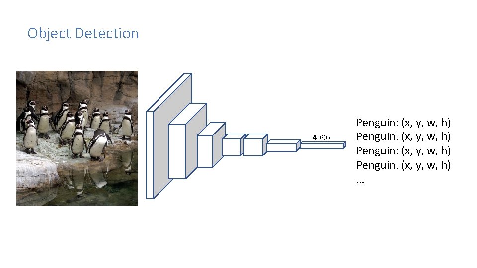 Object Detection 4096 Penguin: (x, y, w, h) … Object Detection 4096 Penguin: (x, y, w, h) …