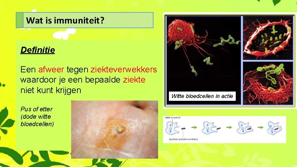 Wat is immuniteit? Definitie Een afweer tegen ziekteverwekkers waardoor je een bepaalde ziekte niet