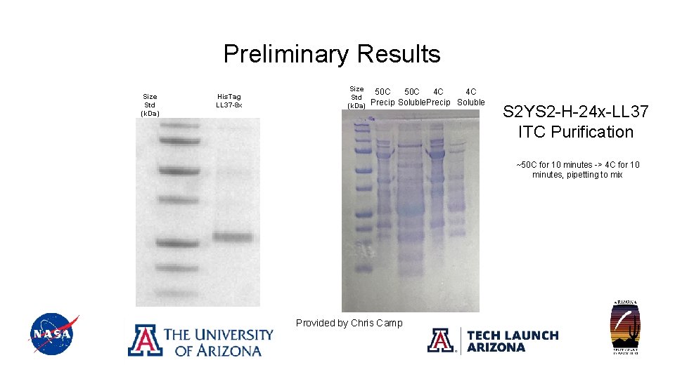 Preliminary Results Size Std (k. Da) His. Tag LL 37 -8 x Size Std