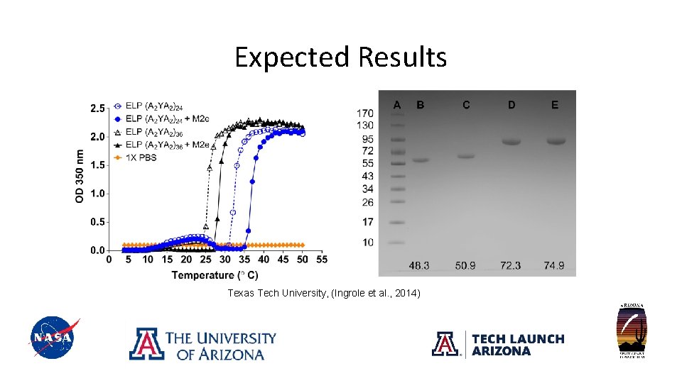 Expected Results Texas Tech University, (Ingrole et al. , 2014) 