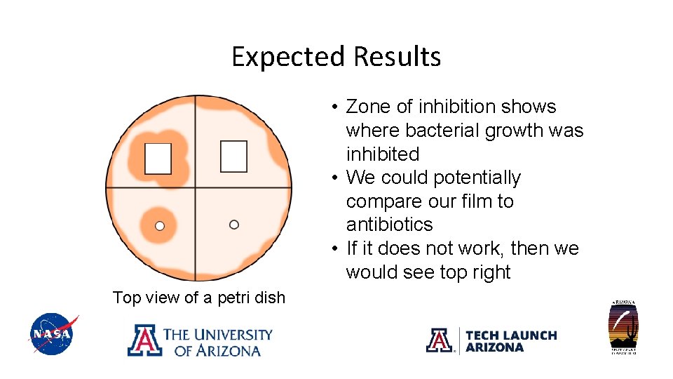 Expected Results • Zone of inhibition shows where bacterial growth was inhibited • We