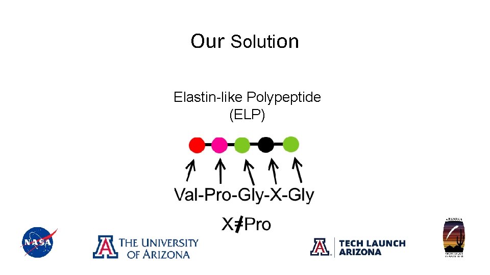 Our Solution Elastin-like Polypeptide (ELP) 