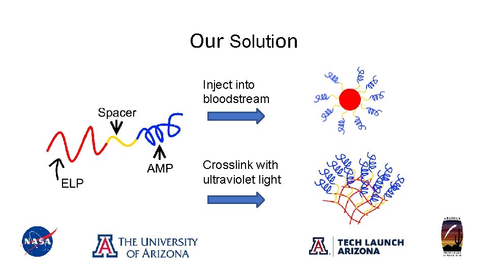 Our Solution Inject into bloodstream Crosslink with ultraviolet light 