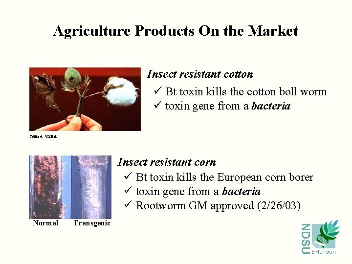 Agriculture Products On the Market Insect resistant cotton ü Bt toxin kills the cotton