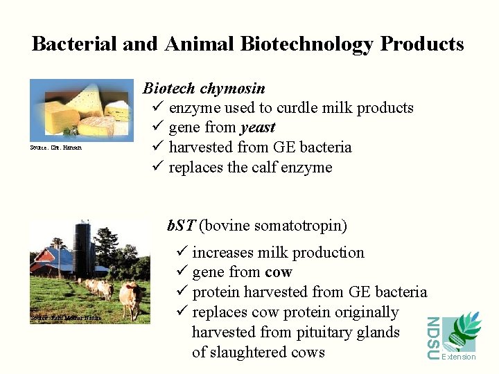 Bacterial and Animal Biotechnology Products Source: Chr. Hansen Biotech chymosin ü enzyme used to
