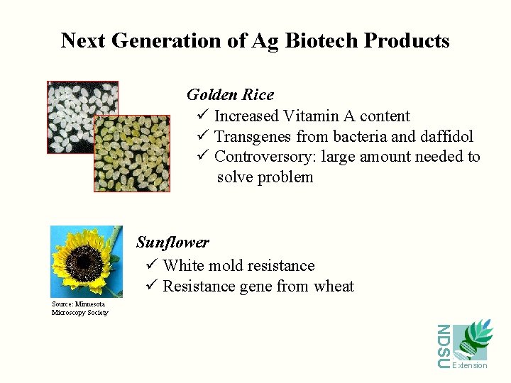 Next Generation of Ag Biotech Products Golden Rice ü Increased Vitamin A content ü