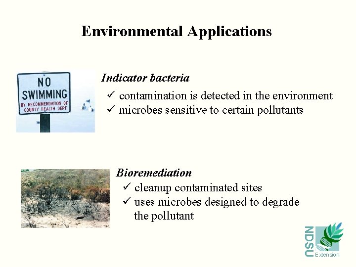 Environmental Applications Indicator bacteria ü contamination is detected in the environment ü microbes sensitive