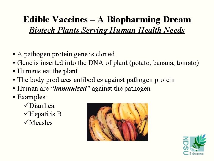 Edible Vaccines – A Biopharming Dream Biotech Plants Serving Human Health Needs • A