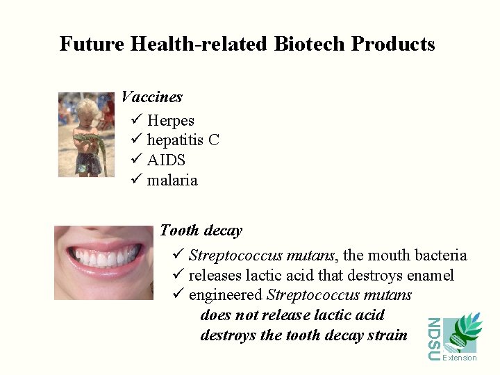 Future Health-related Biotech Products Vaccines ü Herpes ü hepatitis C ü AIDS ü malaria