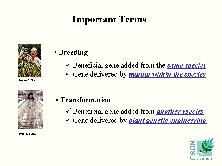 Important Terms • Breeding ü Beneficial gene added from the same species ü Gene