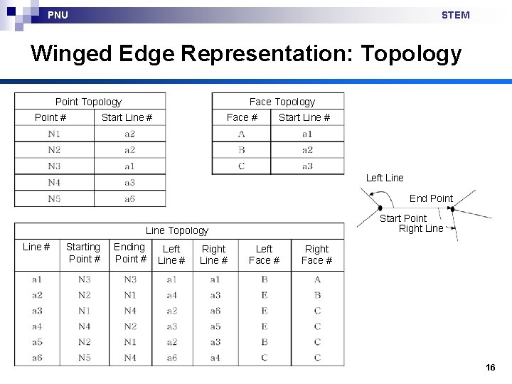 PNU STEM Winged Edge Representation: Topology Point # Face Topology Start Line # Face