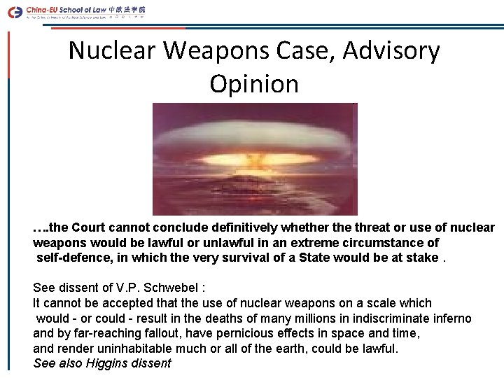 Nuclear Weapons Case, Advisory Opinion …. the Court cannot conclude definitively whether the threat