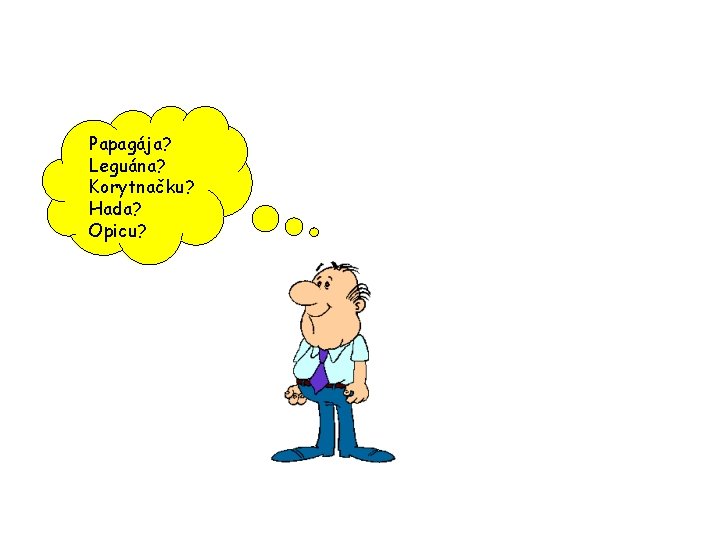 Papagája? Leguána? Korytnačku? Hada? Opicu? 