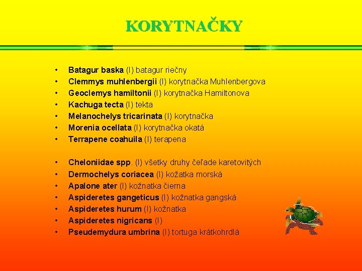 KORYTNAČKY • • Batagur baska (I) batagur riečny Clemmys muhlenbergii (I) korytnačka Muhlenbergova Geoclemys