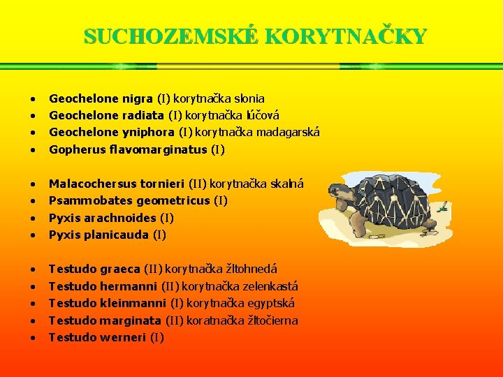 SUCHOZEMSKÉ KORYTNAČKY • • Geochelone nigra (I) korytnačka slonia Geochelone radiata (I) korytnačka lúčová