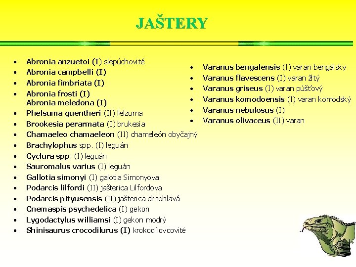 JAŠTERY • • • • Abronia anzuetoi (I) slepúchovité • Abronia campbelli (I) •