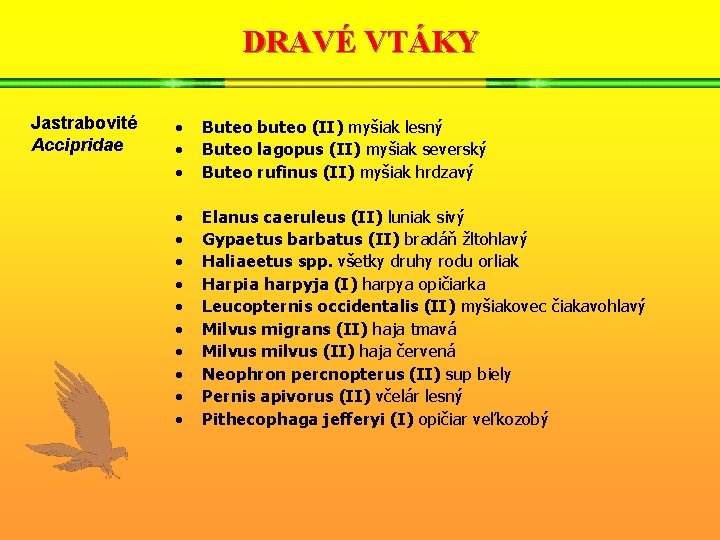 DRAVÉ VTÁKY Jastrabovité Accipridae • • • Buteo buteo (II) myšiak lesný Buteo lagopus