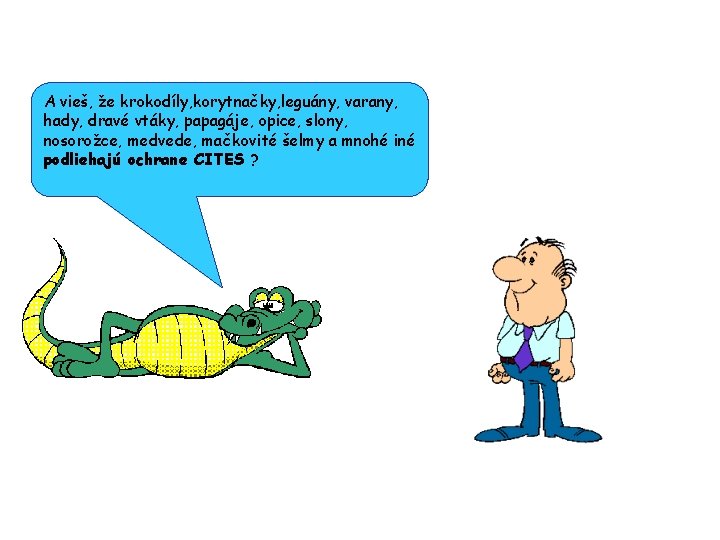 A vieš, že krokodíly, korytnačky, leguány, varany, hady, dravé vtáky, papagáje, opice, slony, nosorožce,