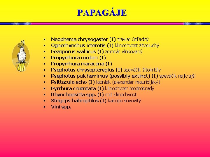 PAPAGÁJE • • • Neophema chrysogaster (I) tráviar úhľadný Ognorhynchus icterotis (I) klinochvost žltosluchý