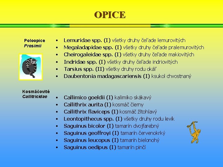 OPICE Poloopice Prosimii Kosmáčovité Callitricidae • • • Lemuridae spp. (I) všetky druhy čeľade