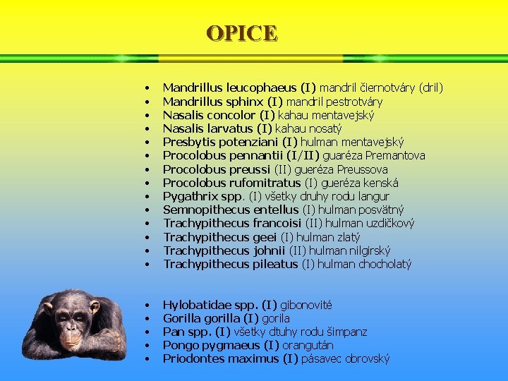 OPICE • • • • Mandrillus leucophaeus (I) mandril čiernotváry (dril) Mandrillus sphinx (I)