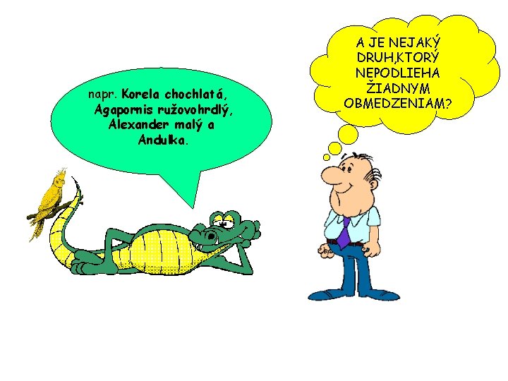 napr. Korela chochlatá, Agapornis ružovohrdlý, Alexander malý a Andulka. A JE NEJAKÝ DRUH, KTORÝ