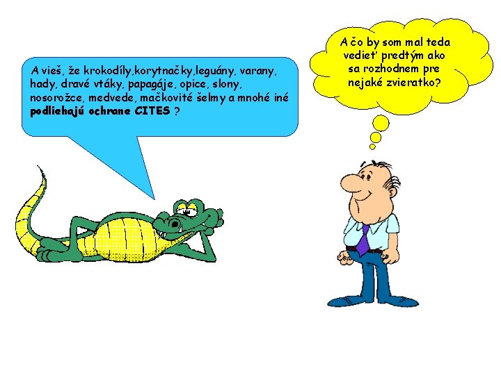 A vieš, že krokodíly, korytnačky, leguány, varany, hady, dravé vtáky, papagáje, opice, slony, nosorožce,