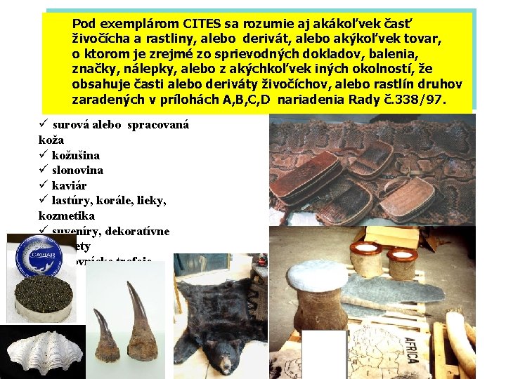 Pod exemplárom CITES sa rozumie aj akákoľvek časť živočícha a rastliny, alebo derivát, alebo